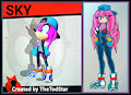 Sky's Sonic Forces Avatar Style