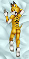 Maw Daki