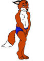 Fox Pose Colour by Pablo00726