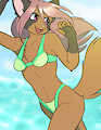 A tanuki at the beach by NikkitheTanuki