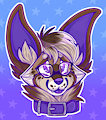 Jordan Chihuahua Headshot
