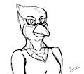 Blue Jay Sketch #1 by Lore4697