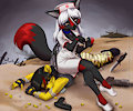 Commission for Destorarc