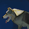 Wolf study by SummonerOfPigs