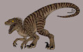 Rawring Raketalon