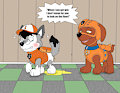 Paw patrol get wet