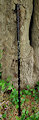 Old hiking stick by armoredvulpine