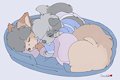 Wolfie's Streams - Dogbed Dogpile