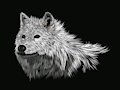 White Wolf Brush study