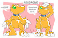 Agudrone 2.0
