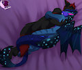 Nighty Night Snuggles