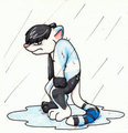 Zander "100 Themes" - 007 Under the Rain