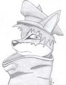 Ash Fox by AshFoxBloodPaw