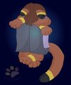 Sorry by CCLebo