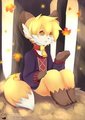 Autumn Leaves by Ende