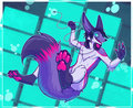 Bass jump by Ced