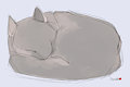Fox Practice Sketch 1