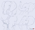 Elephants practice by ChocolateKitsune