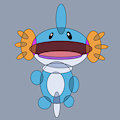 Mudkip Circles