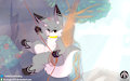Adventure~