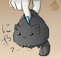 Poof Pluck