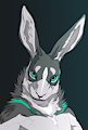 Promising look by kusuguttai