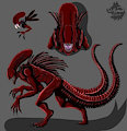 Xenomorph Ref Sheet