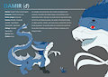 Monumendo - Damir Character Sheet by besonik