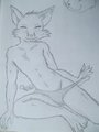 1st Draw by Foxtails