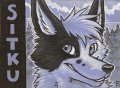 CFT2011 Badge by oCeLoT 