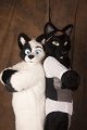 RF2011 Photoshoot - 2 