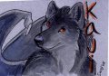 [Badge] FC '08 Caribou Art 