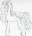 Spazzie Pony