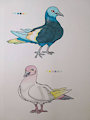 Pigeon Adoptables 2 CLOSED
