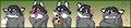 Telegram Stickers