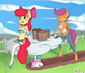 Apple Buruma Project - CMC #5