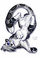 2019 Kyyp by gard3r