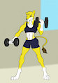 At The Gym