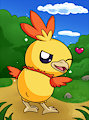 Pokemon Community Day - Torchic