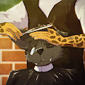 Furcut