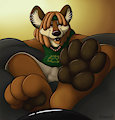Diego's Dank Paws