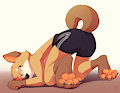 Paw Day! by ChurroShiba