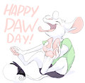 Paw Day