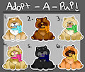 QUICK ADOPT : ADOPT A CHOW! OPEN