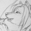 [FC2011] Enjoying the Fence 