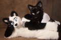 [Photo] RF Shoot: Love Anew  by KajiDraolf