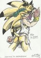 Commission: Apollo the Hedgehog by Mimy92Sonadow