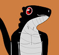 Skink request