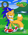Sonic and Tails Hug