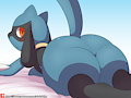 Riolu